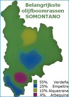 olijfbomen olivo somontano