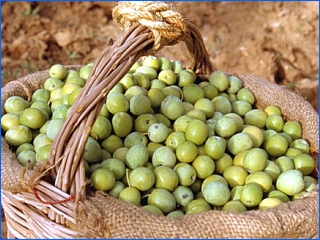 mand groene olijven