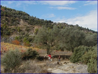Perrarua nabij Campo