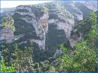 rio vero