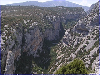 rio vero