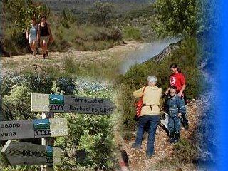 natuurwandelen